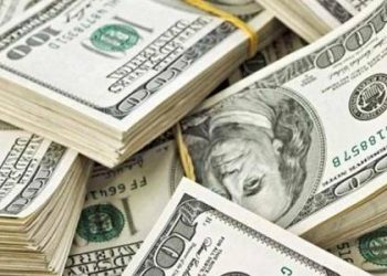 Polícia Civil prende piloto e apreende quase 1 milhão de dólares em São Félix do Xingu