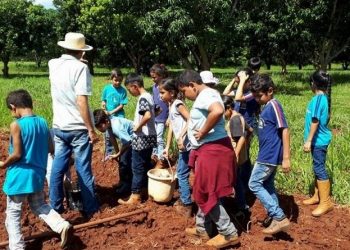 Audiências públicas em Santarém, Óbidos e Itaituba discutem Pacto pela Educação no Campo