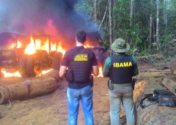 MPF recomenda que Ibama fiscalize crimes ambientais em áreas indígenas na Terra do Meio
