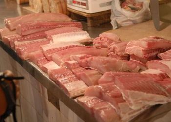 Ministério da Agricultura inclui o Pará na fiscalização contra fraudes na venda do pescado