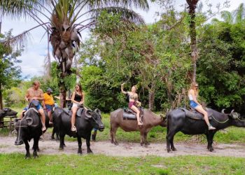 Influenciadores digitais norte-americanos divulgam as belezas naturais do Pará