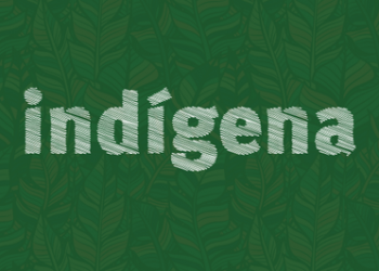 MPF requisita plano de segurança alimentar para indígenas atingidos por Belo Monte