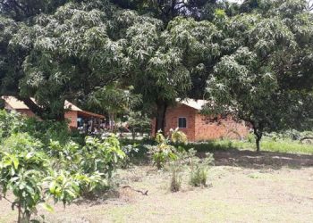 920 famílias quilombolas estão isoladas por conta do coronavírus e pedem ajuda