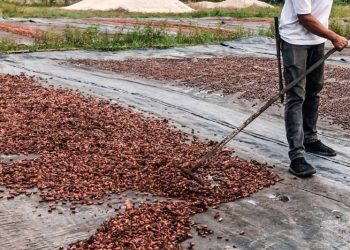 Emater vai contribuir com a formação de jovens alunos de Brasil Novo