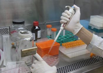 Fiocruz divulga possível eficácia de medicamento contra covid-19