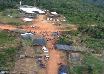 Desmatamento cresceu 279% na Amazônia em março. 254 quilômetros quadrados de florestas foram derrubadas