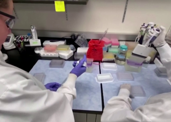 Três vacinas contra COVID-19 já são testadas em humanos; OMS monitora outras 67