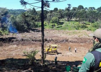 Amazônia: abril registra maior índice de desmatamento dos últimos dez anos