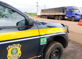 Operação conjunta da PRF, Ibama e Exército apreende caminhões com madeira ilegal na Transamazônica