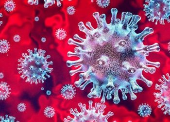 Sespa confirma 49 óbitos e 443 casos de Covid-19 no PA; agora são 914 mortes e 9.059 casos