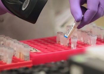 Cientistas italianos dizem ter desenvolvido vacina que neutraliza o novo coronavírus