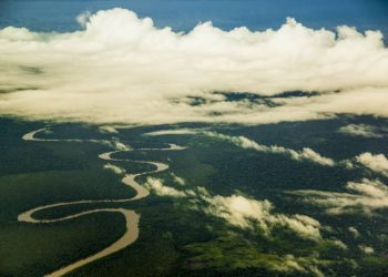 Governador sanciona lei que institui a Política Estadual sobre Mudanças Climáticas do Pará