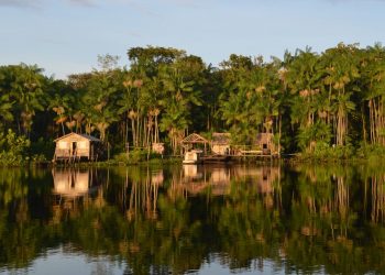 Campanha busca doações para famílias em áreas de florestas comunitárias no Pará