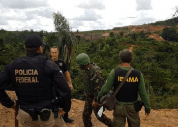 Operação em áreas da Amazônia Legal terá orçamento de R$ 60 milhões