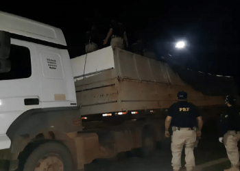 Cerca de 40m³ de madeira sem nota fiscal são apreendidos pela PRF em Santarém