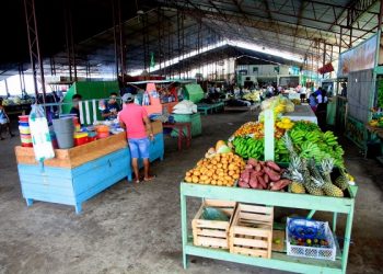 Agricultores de Porto de Moz produzem alimentos para entidades assistenciais