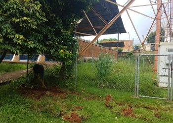 Seduc inicia construção de proteção da torre usada para suicídios em Altamira