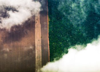 Cepal recomenda agricultura sem queimadas na Amazônia