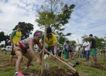 MMA lança programa para impulsionar renda de quem protege as florestas