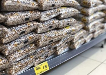 Operação que investigou aumento no preço do feijão conclui que alta foi repassada pelos próprios produtores