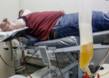 Recuperados de Covid-19 podem doar plasma à Fundação Hemopa