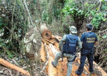 Cerca de 10 mil cadastros de imóveis rurais no Brasil estão em terras indígenas