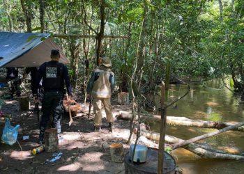 Força de Combate ao Desmatamento Ilegal apreende equipamentos, destrói acampamentos e impede queimadas