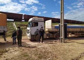 PF fiscaliza caminhões durante operação para combater desmatamento ilegal em Marabá