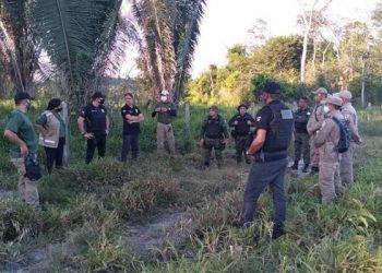 Operação Amazônia Viva apreende madeira ilegal, equipamentos e armas em Uruará e Pacajá, no Pará.