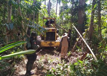 TransUruará: Operação faz apreensões e embarga 7,5 mil hectares de terras