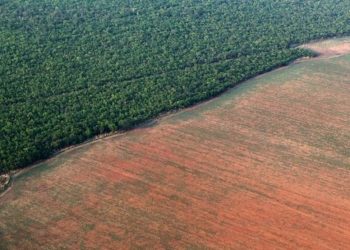 Atuação da Força Nacional na terra indígena Apyterewa é prorrogada no Pará