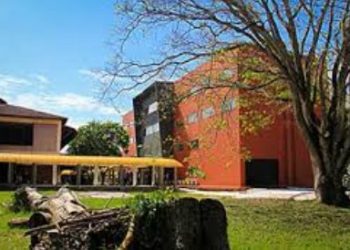 Faculdade da UFPA repudia ataques racistas em evento do Dia da Mulher Negra, Latino-Americana e Caribenha