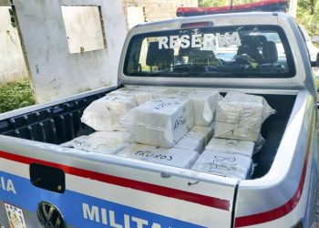 Cerca de 5 mil toneladas de drogas são apreendidas no PA no primeiro semestre