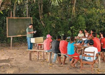 Rede de universidades públicas do Norte ofertam primeiro Doutorado em Educação na Amazônia