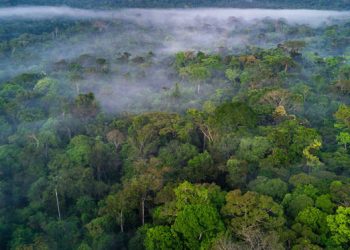 Sistema viabilizará remuneração aos produtores que protegerem o meio ambiente