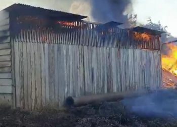 Incêndio destrói galpão dentro de terreno abandonado em Altamira, no PA