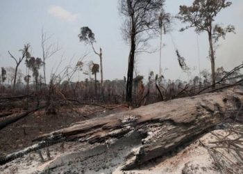 Polícia desarticula seis acampamentos usados para crimes ambientais em Novo Progresso, sudeste do Pará