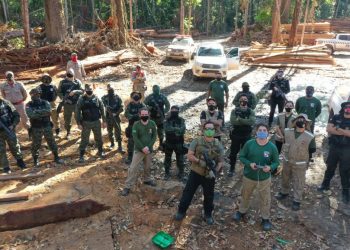 Operação ‘Amazônia Viva’ apreende motosserras e armas de fogo em ação de combate ao desmatamento em Santarém