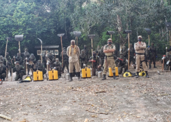 Operação Verde Brasil 2 em Itaituba desenvolve ação de treinamento e prevenção a incêndios florestais