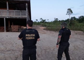 Urgente: Polícia Federal deflagra operação nos municípios de Brasil Novo, Medicilândia e Uruará contra exploração ilegal de madeira
