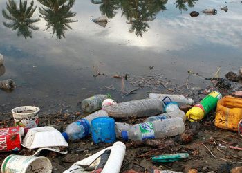 Plástico nos oceanos pode chegar a 600 milhões de toneladas em 2040