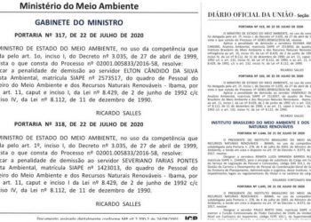 Servidores do Ibama investigados na operação Lupa II após denúncia de propina são demitidos