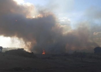 Área de Preservação Permanente é incendiada em Altamira