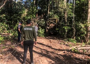 Segunda fase da Operação Amazônia Viva apreendeu quase 3.000 m³ de madeira em tora