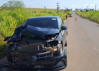 Taxista se choca com bezerro na PA-415