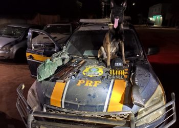 Polícia Rodoviária Federal apreende 3 armas de fogo no município de Uruará/PA.