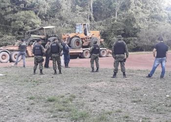 Operação ‘Amazônia Viva’ apreende quase 3 mil m³ de madeira em toras na 2ª fase de ações no Pará