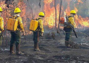 Corpo de Bombeiros lançará “Operação Fênix 2020” neste domingo (10)