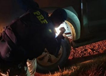 Em Rurópolis, PRF apreende veículo fraudado na modalidade ”clone”