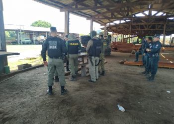 Operação ‘Artemis’ lacra empresas madeireiras em Santa Maria do Uruará, em Prainha